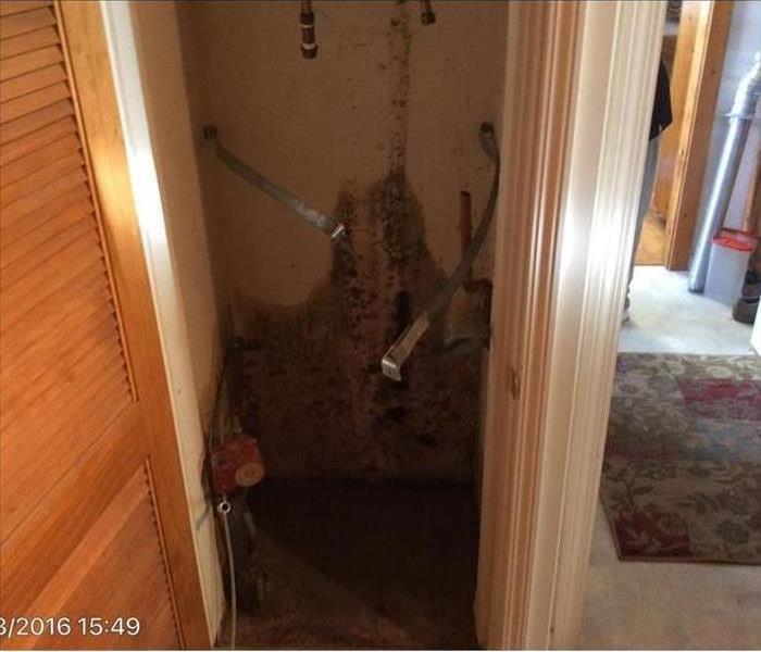 Hot water heater room with drywall covered in mold growth