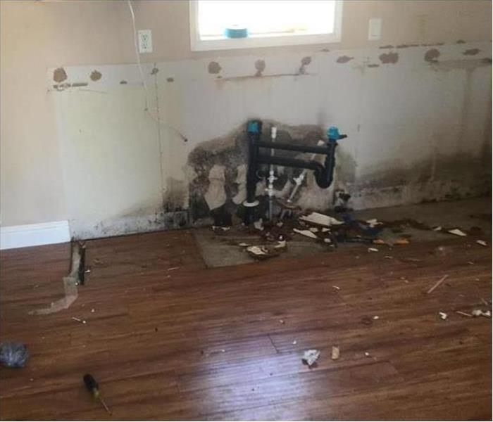 Kitchen wall with sink and counter removed showing microbial growth on the wall