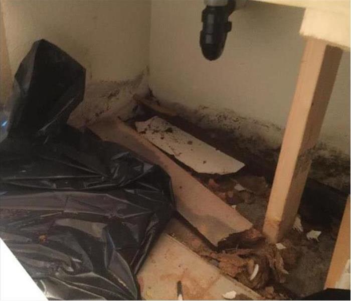 Walls and floor under a bathroom sink showing microbial growth