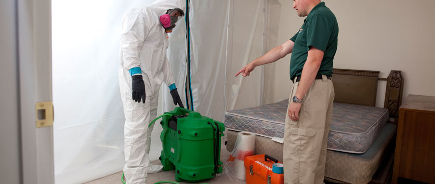 Rancho Cordova, CA mold removal process