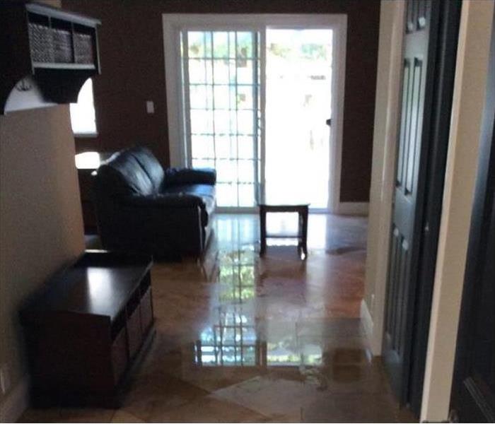 Hallway and living room with puddles of water on the floor